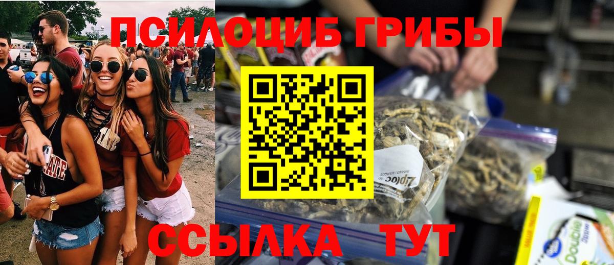где можно купить наркотик  Псилоцибиновые грибы ЛСД  Вход с VPN  Волгоград 